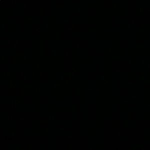 Meet your Posher, Hailey